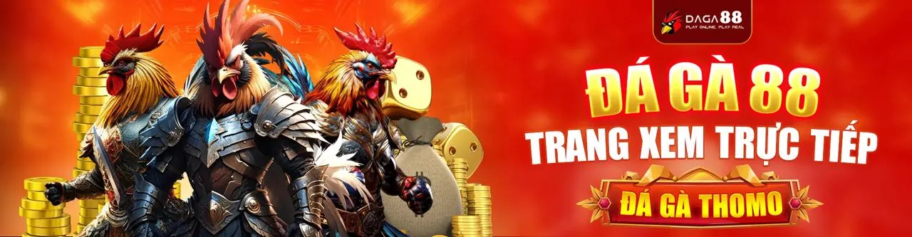 Giao diện cá cược trực tiếp với bảng tỷ số và tỷ lệ cược cập nhật theo thời gian thực